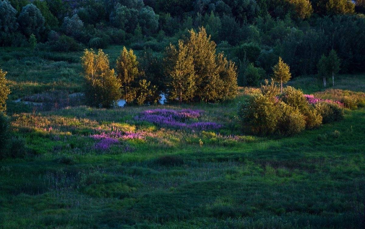 , Борис Резванцев