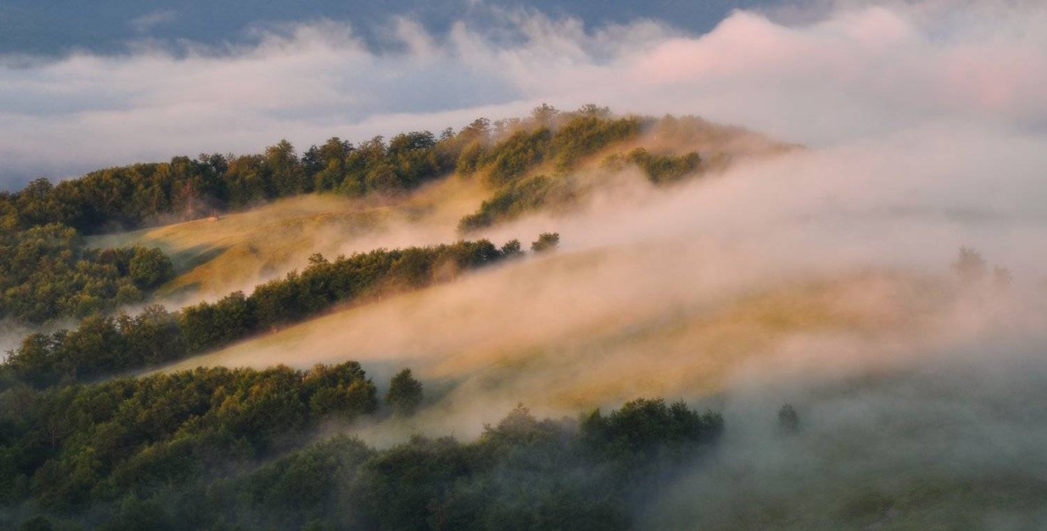 , Денис Кривой