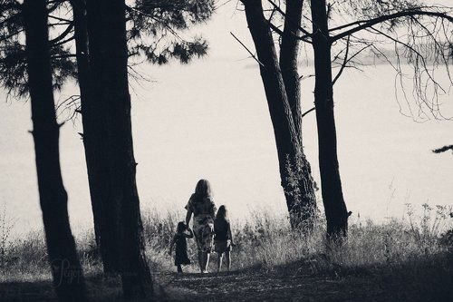 Road to the sea
