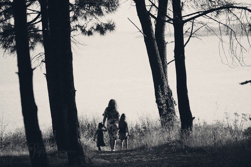 family Road to the sea фото превью