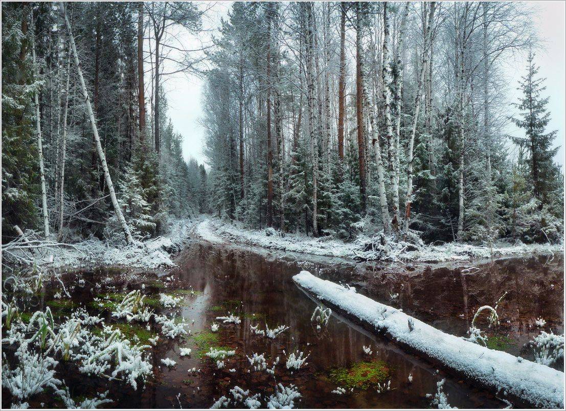 урал, осень, первый снег, Сергей Макурин