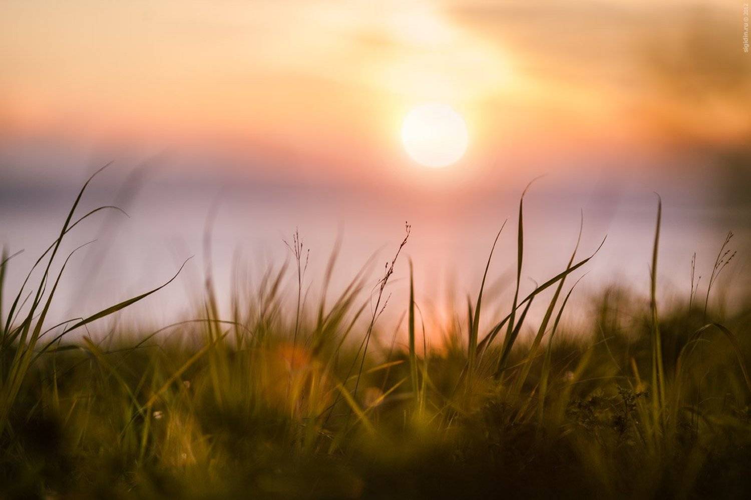 , Данил Сигидин