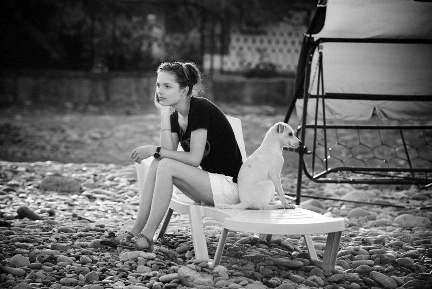 , Сергей Николаенко