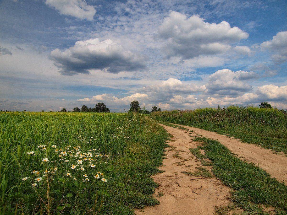, Владимир Перепечаев