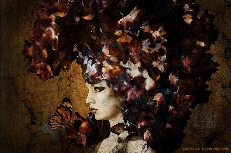 Dimitar Hristov - 54ka фото превью