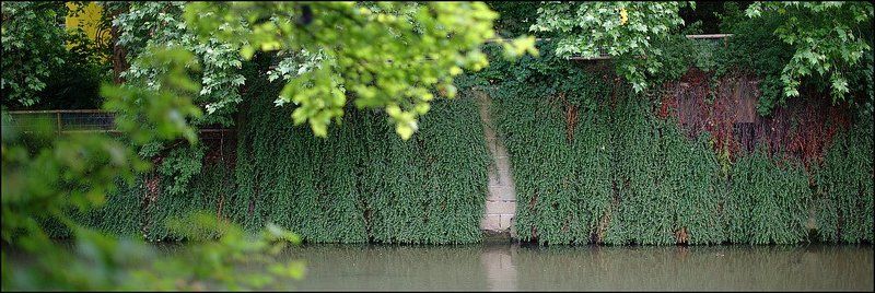 Тишина фото превью