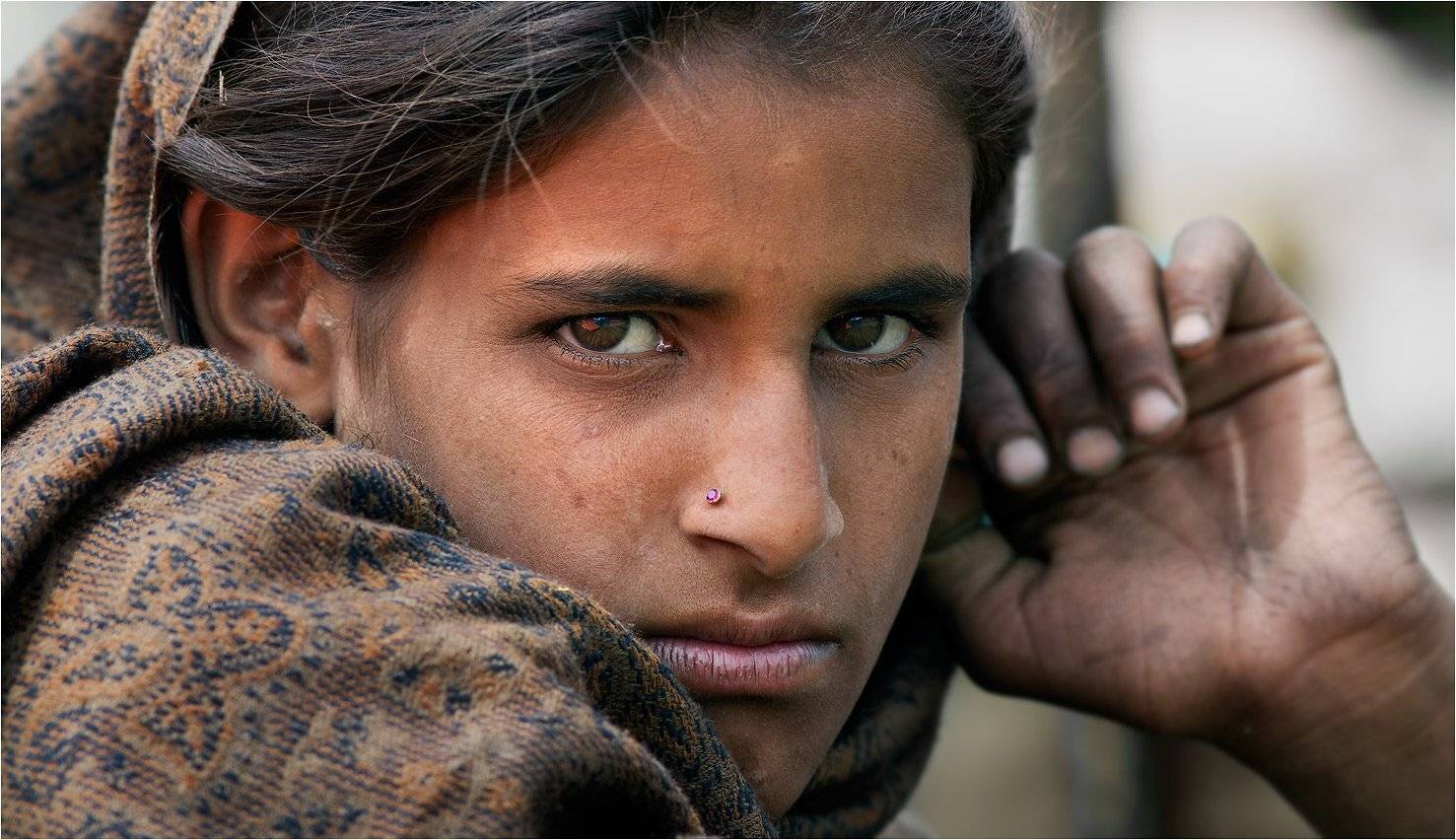 кашмир, индия, Yury Pustovoy