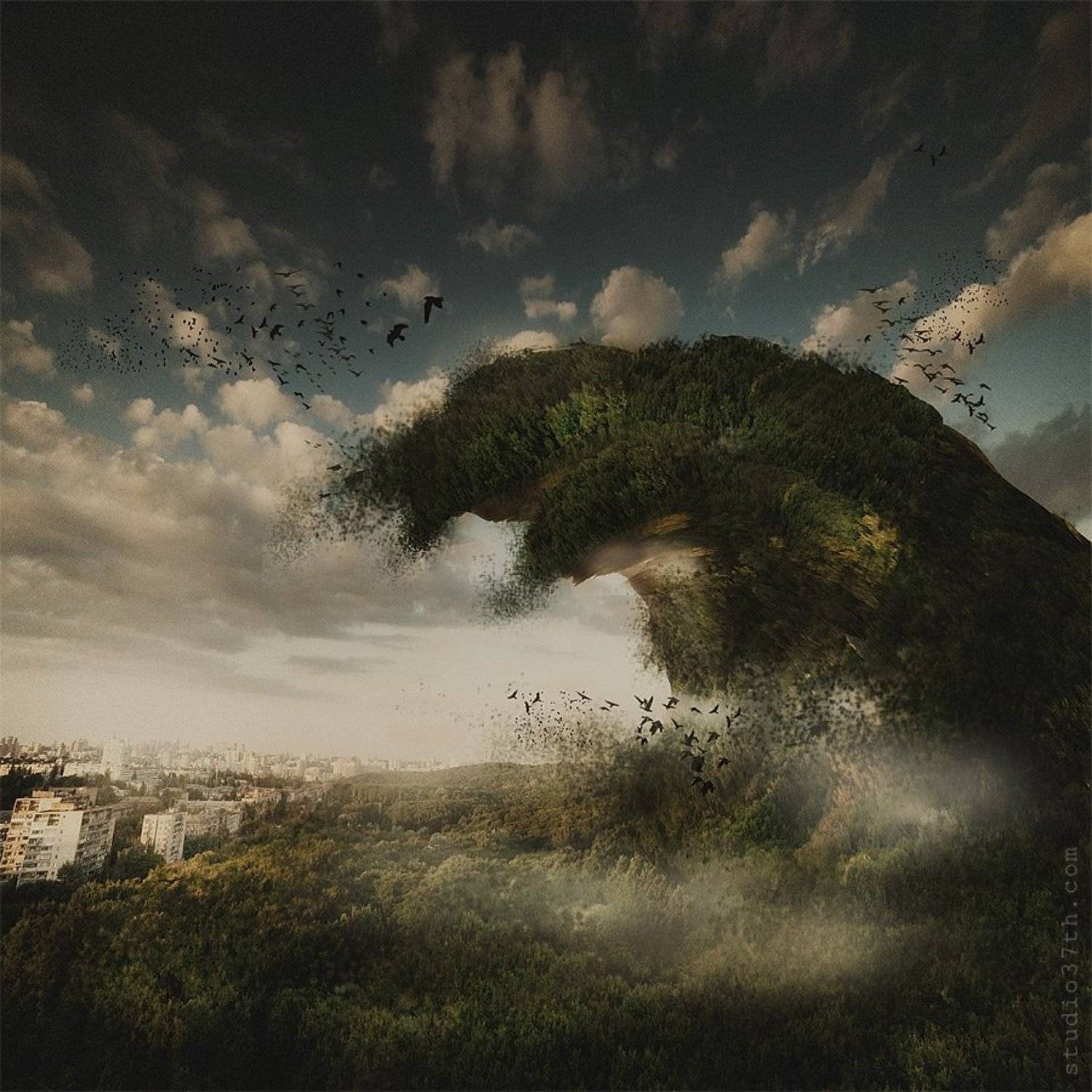 , Alexander Mikhailenko