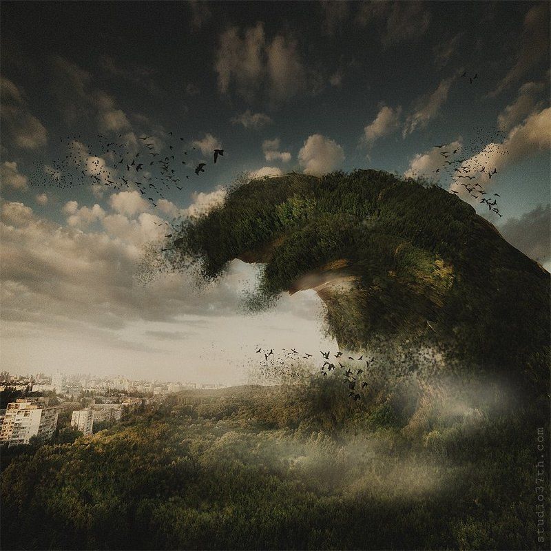 *** фото превью