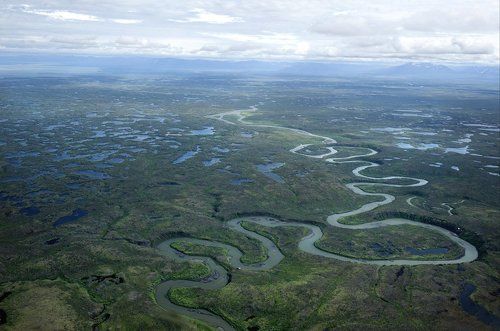 Тень облака, плывущего над тундрой...