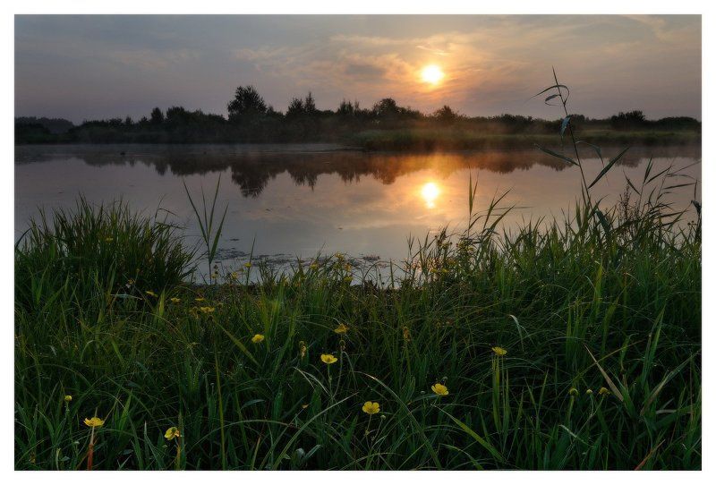 ИЮЛЬ фото превью