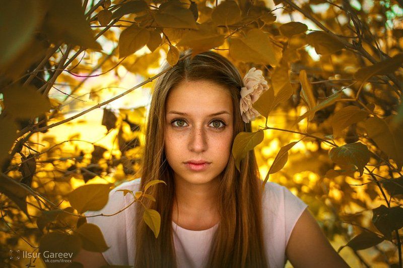 девука, портет, листва Nastya фото превью