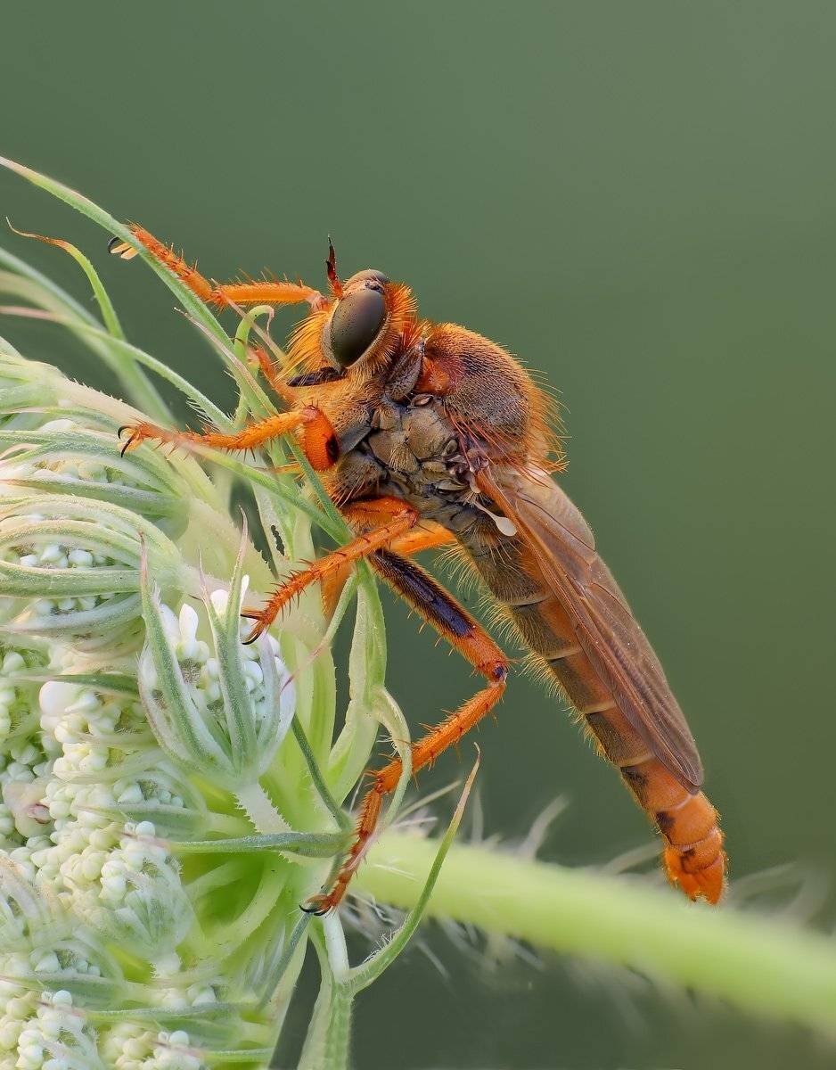 , Вадим Ходаковский