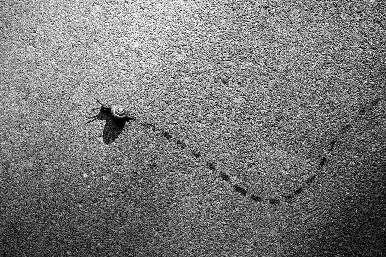 , Вилюнов Дмитрий