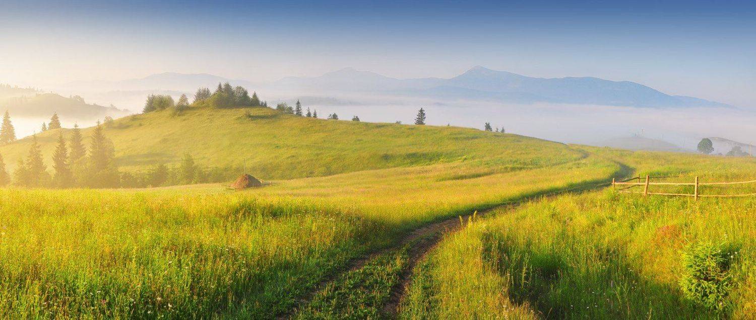 , Денис Кривой