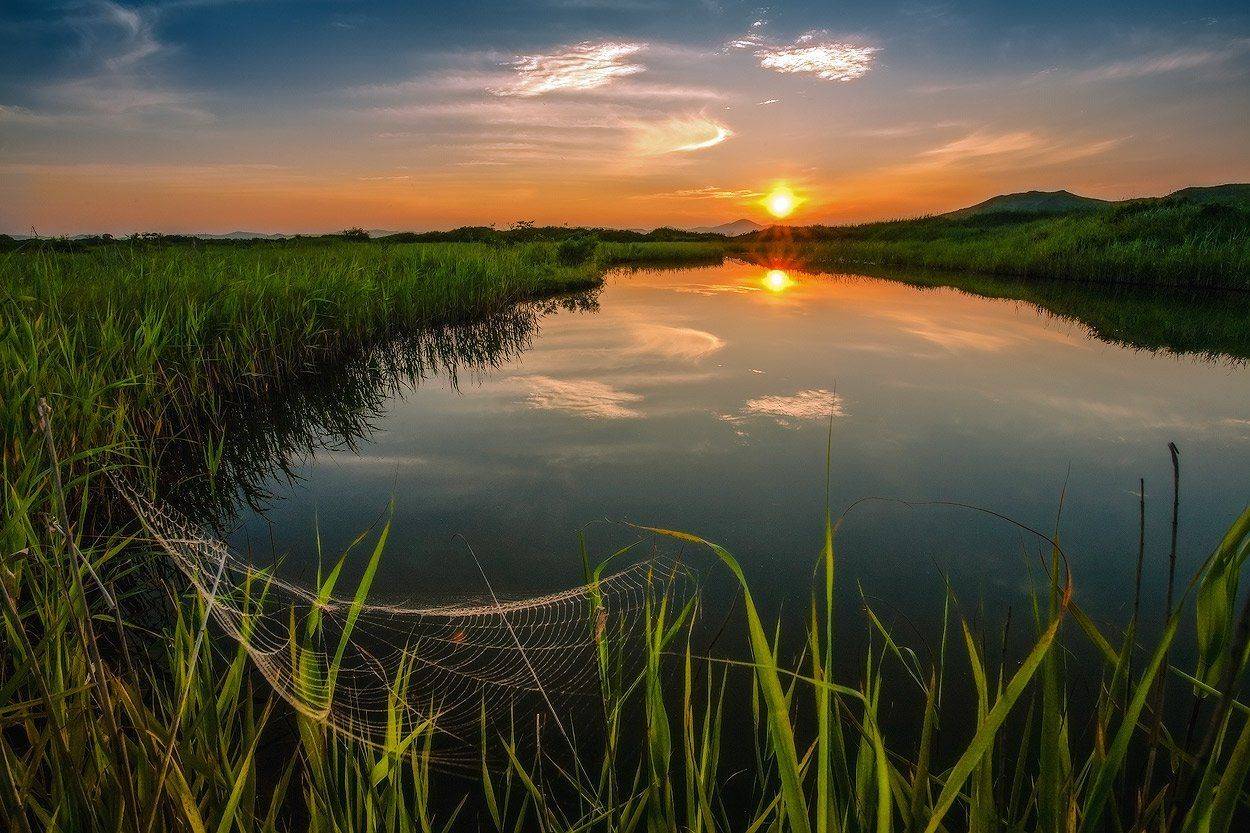лето, закат, паутина, Андрей Кровлин