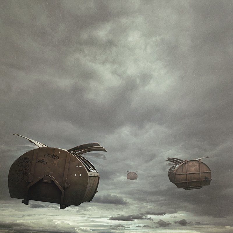 sometimes they fly away фото превью