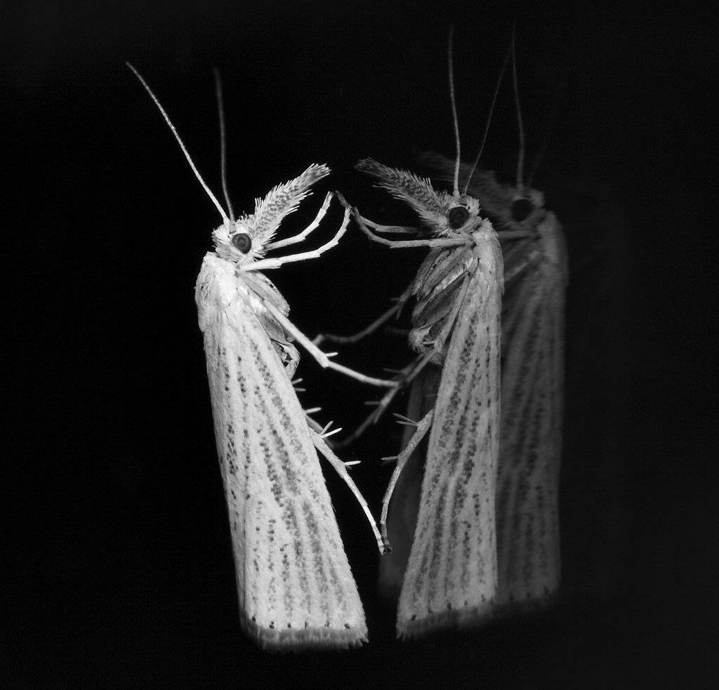 , Сергей Таланов