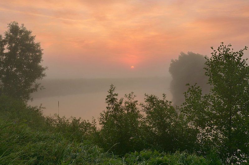 Туманный июль фото превью
