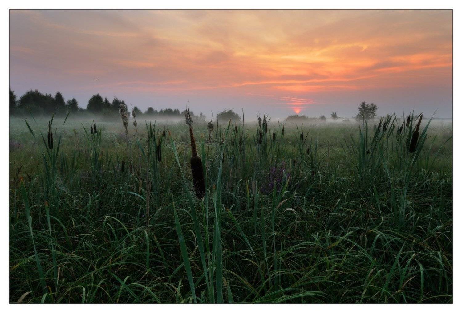 , Евгений Мартов