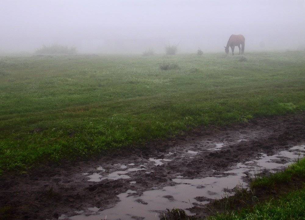 , Николай Морский