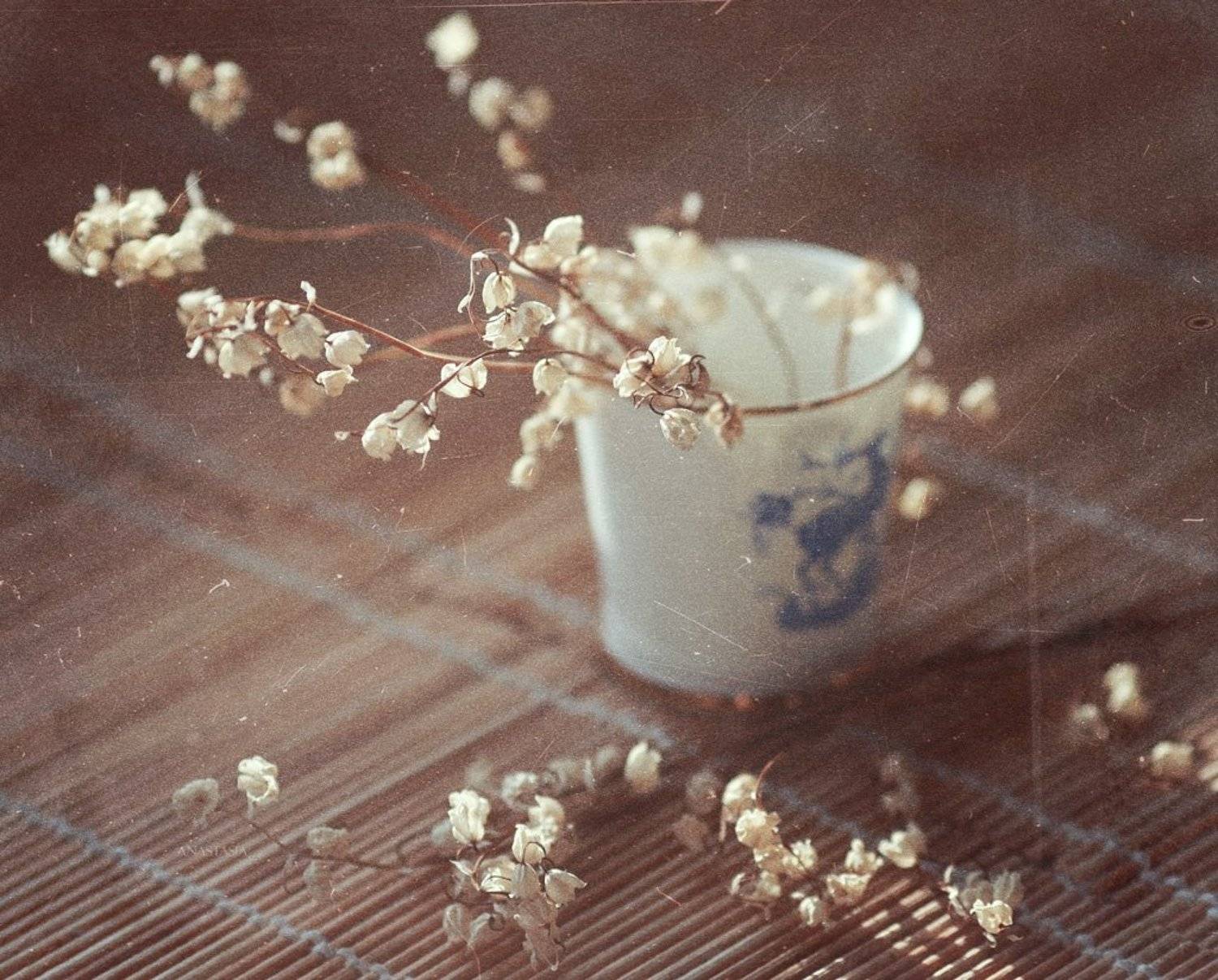 ландыши,anastasia barkovskaya, ANASTASIA