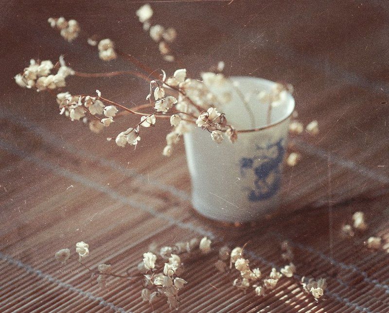 ландыши,anastasia barkovskaya midsummer фото превью