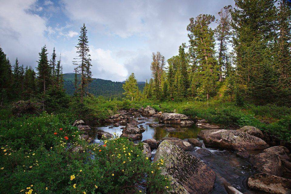 ергаки, саяны, озеро светлое, Алексей Харитонов