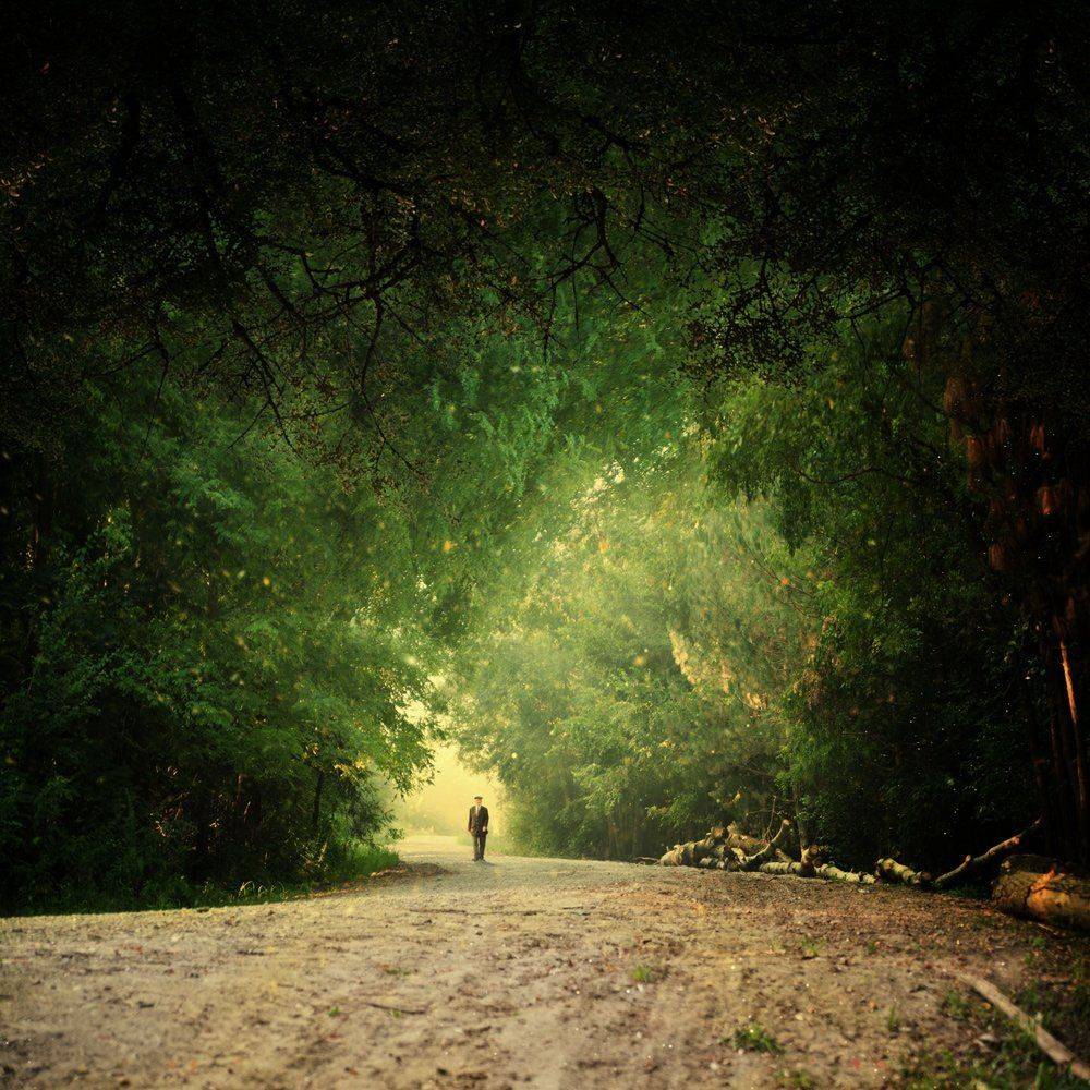 forest, light, man, green, magic, walking, Caras Ionut