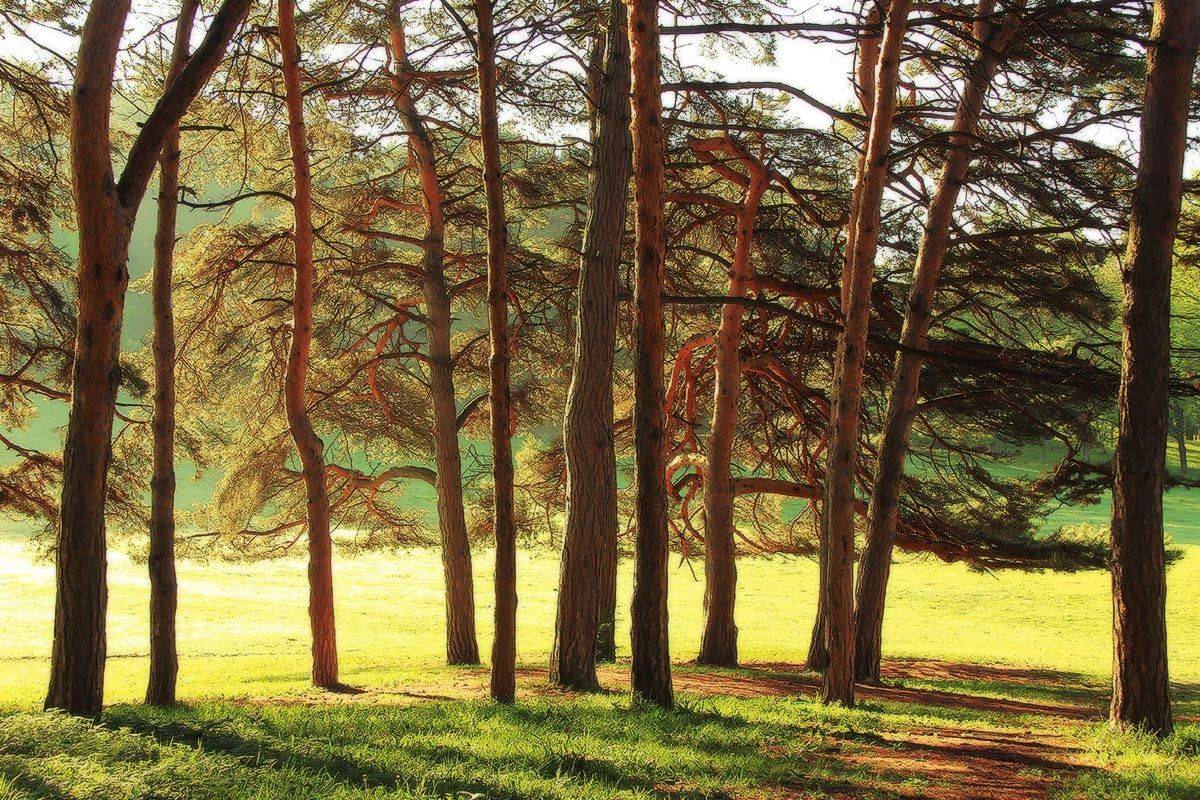 , Михаил  Пилипенко