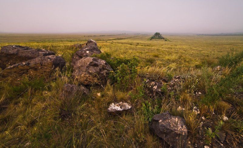 степь, трава, сопки, камни Вечером в степи фото превью
