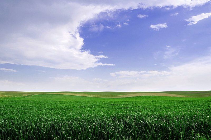 безмятежность фото превью