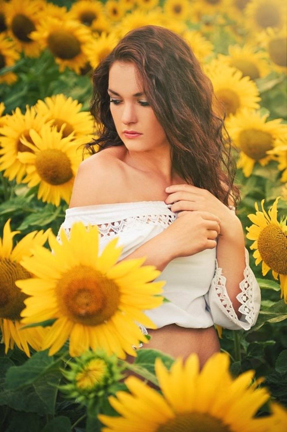 sunflowers, vol, 1, Buniowski Grzegorz