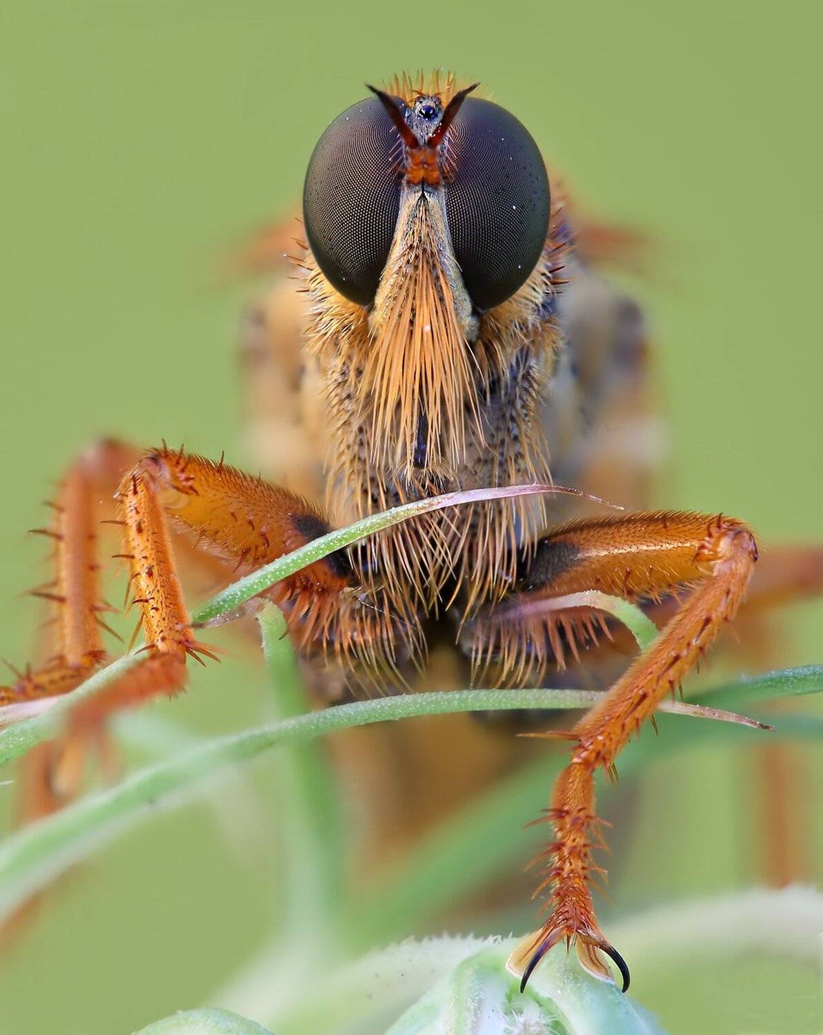 , Вадим Ходаковский