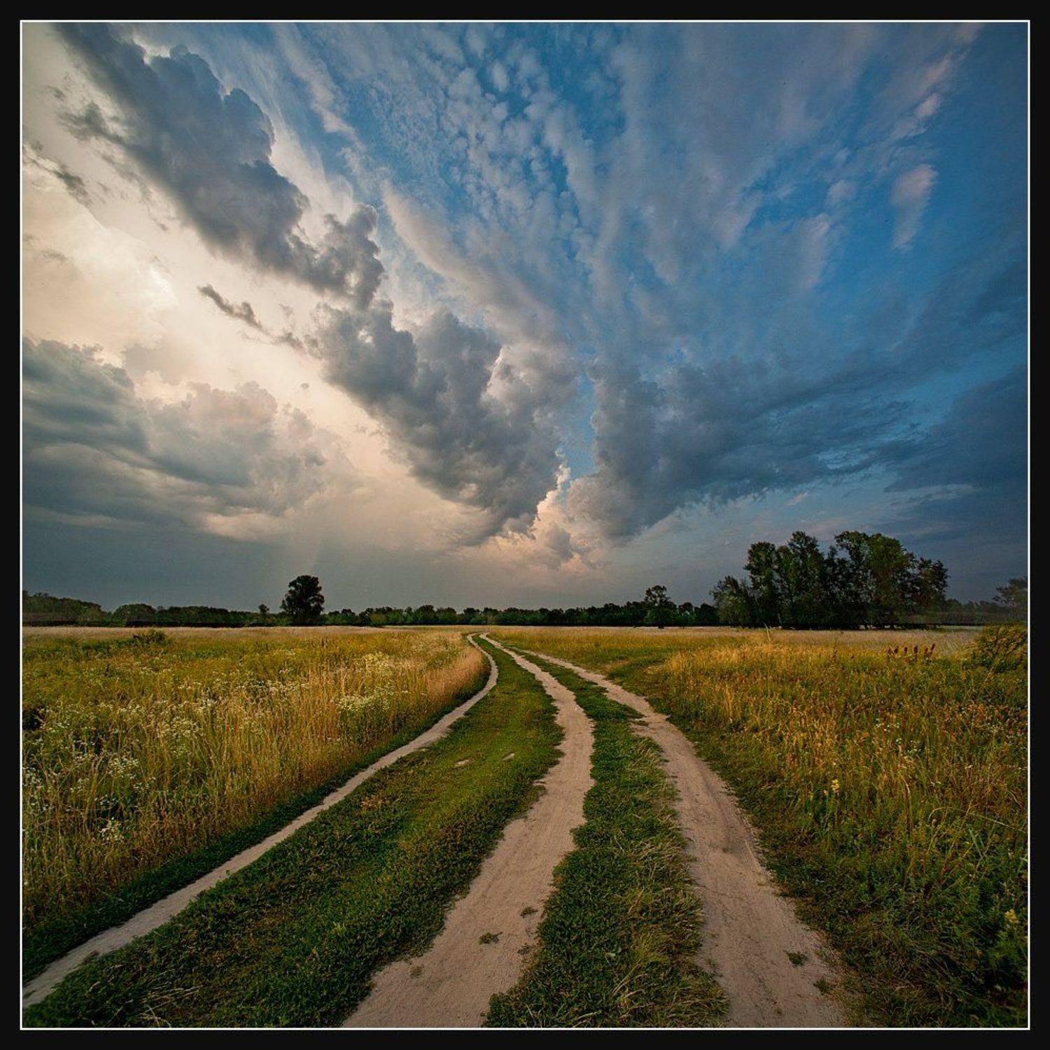 , Алексей Соловей