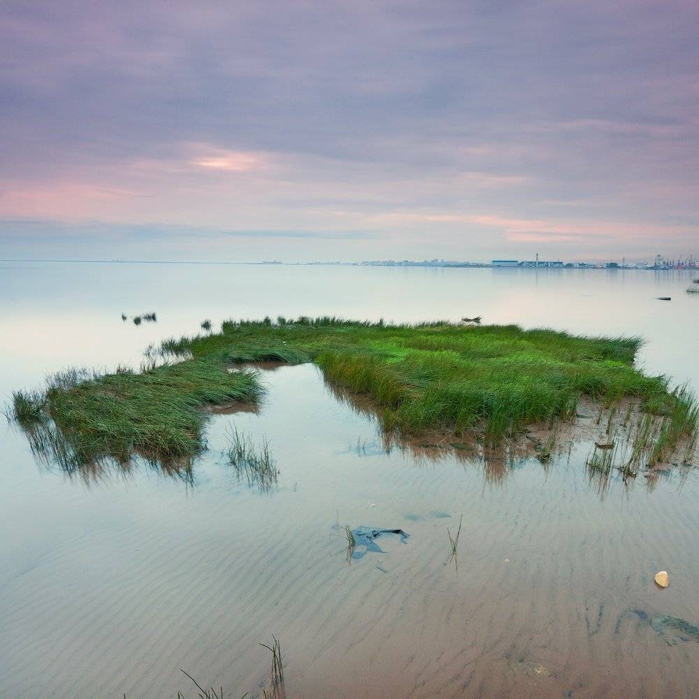 , Евгений Кондрашков