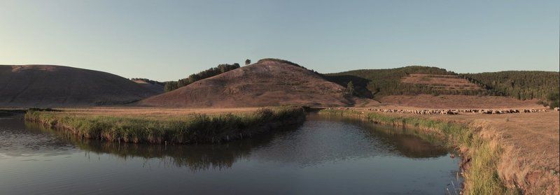 * фото превью