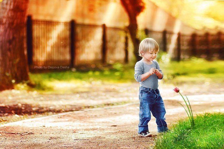 , Осипова Дарья