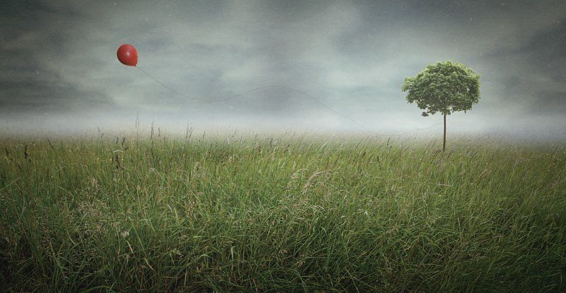 best friends фото превью