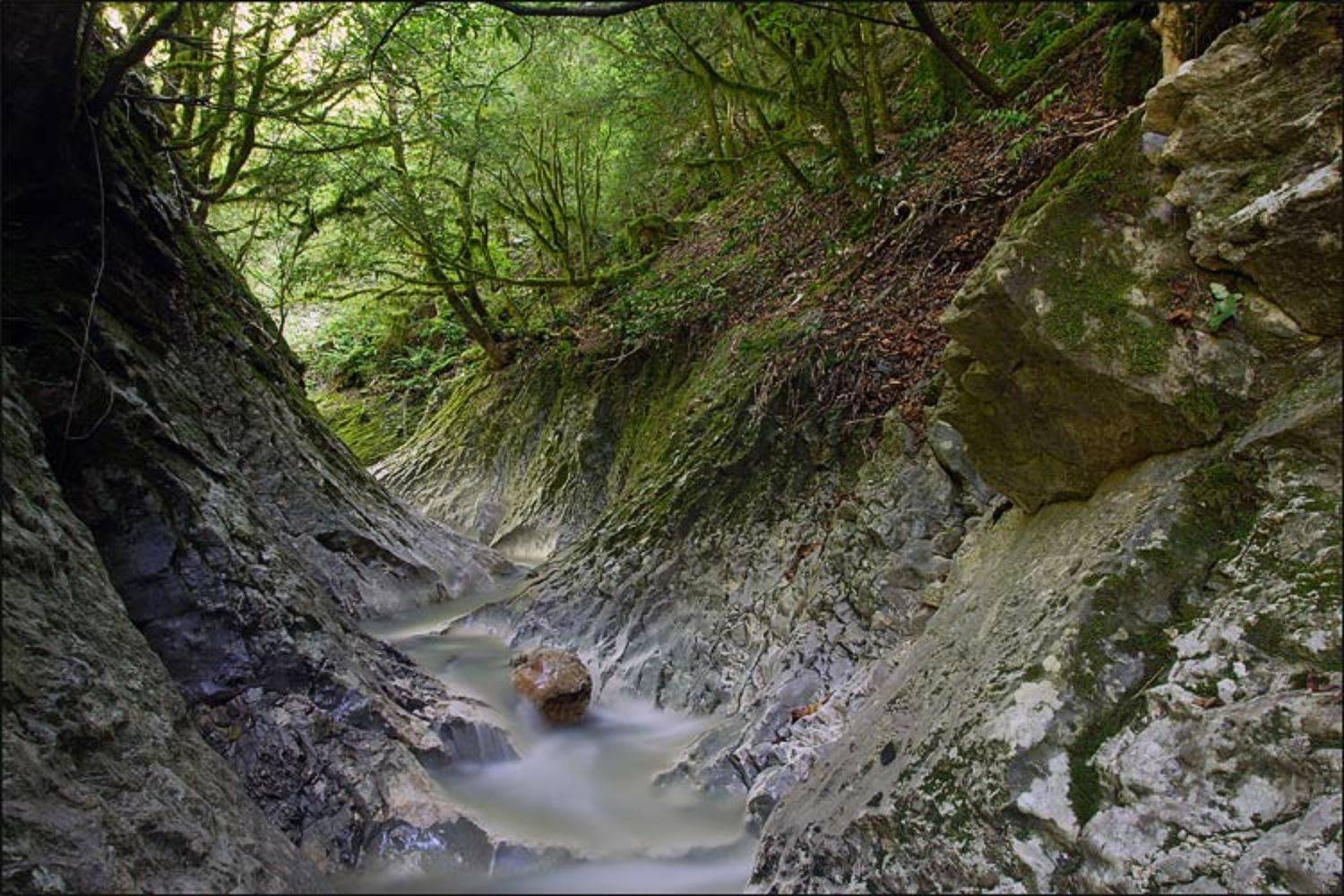 , Алексеев Виктор