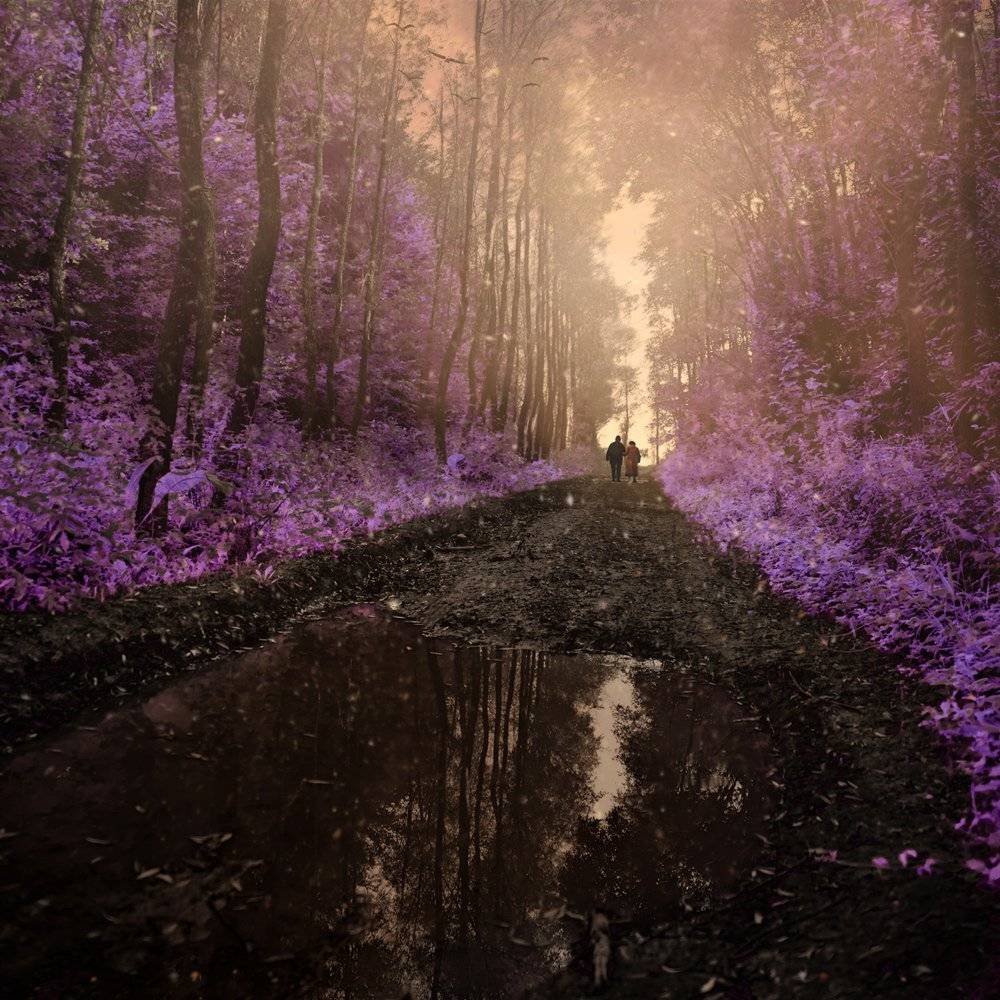 , Caras Ionut