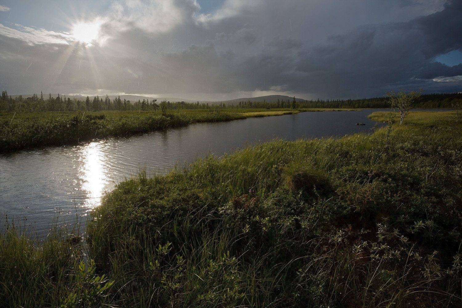 кольский, полуостров, лето, солнце, дождь, Nikolai (locus)