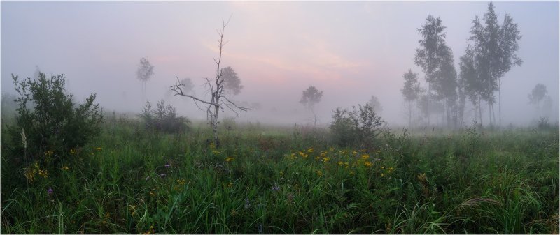 утро, туман ~ фото превью