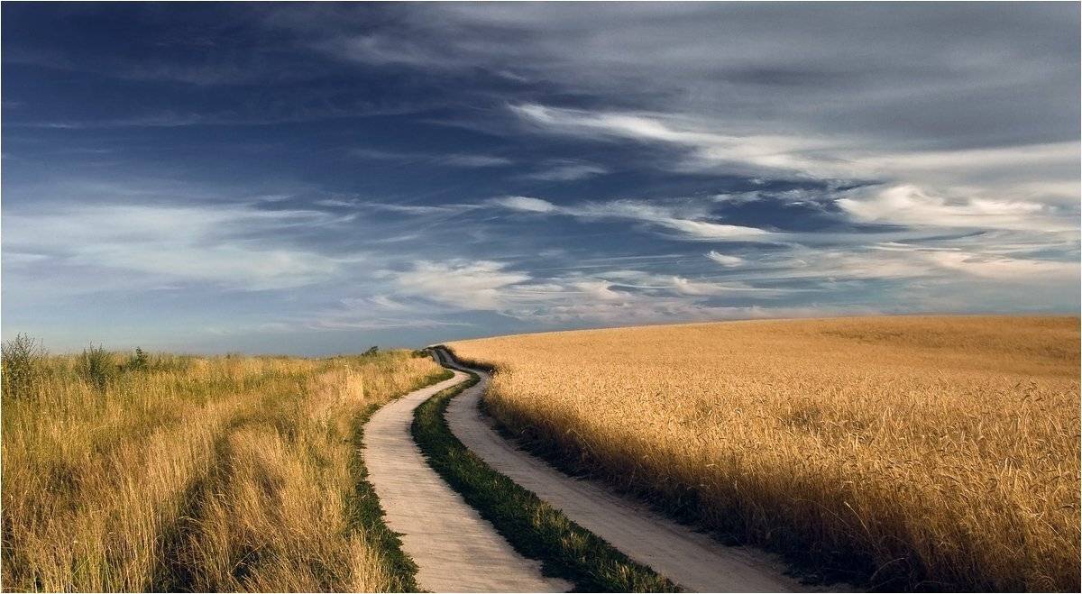 , Николай Шахманцир