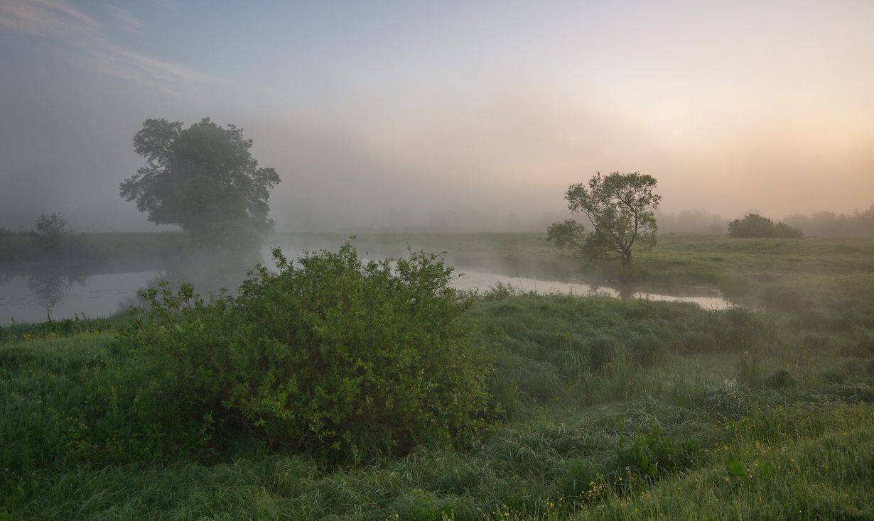 , Володимир Карчевський