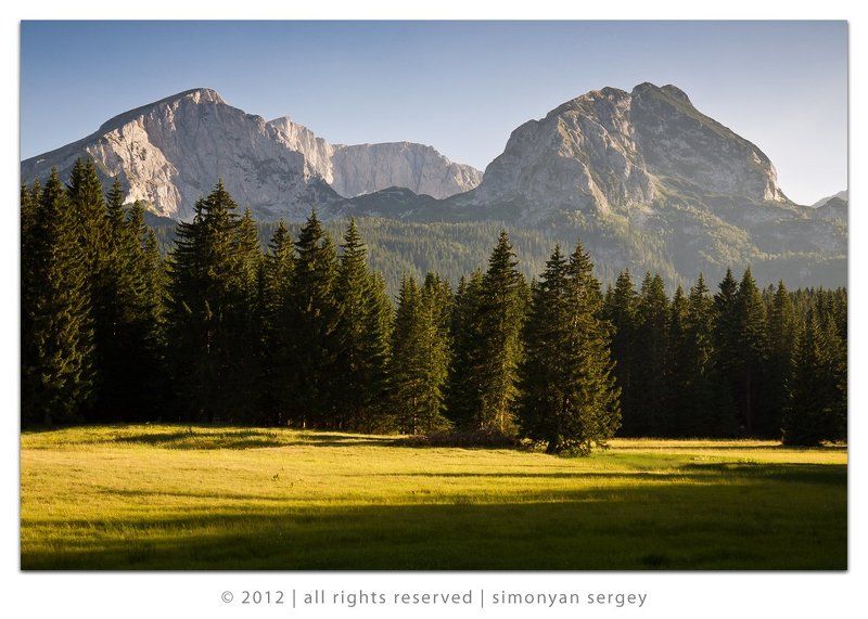 Вечер, Горы, Деревья, Дурмитор, Европа, Елки, Черногория  фото превью