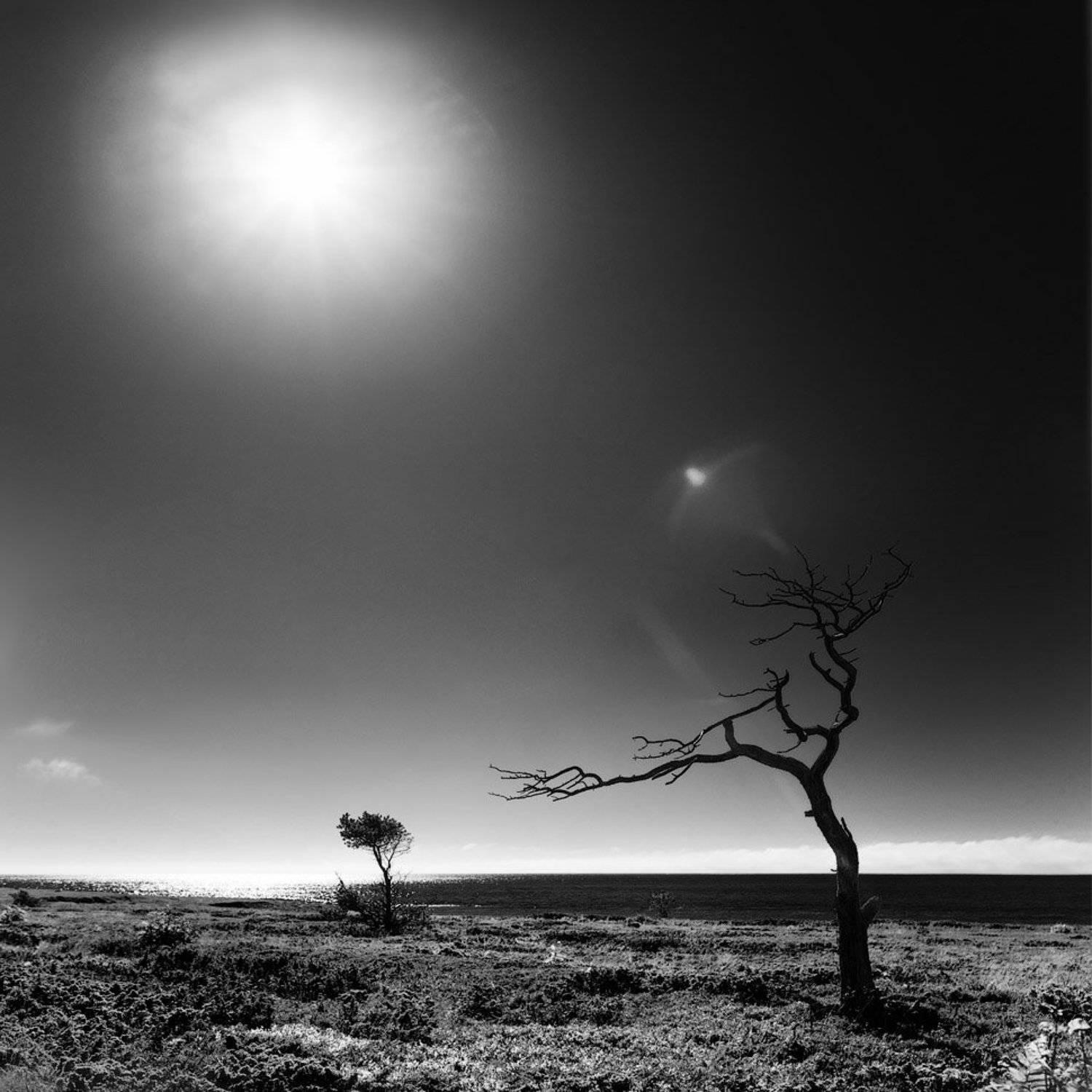 солнечный, радар, Владимир Кириченко (vlkira)