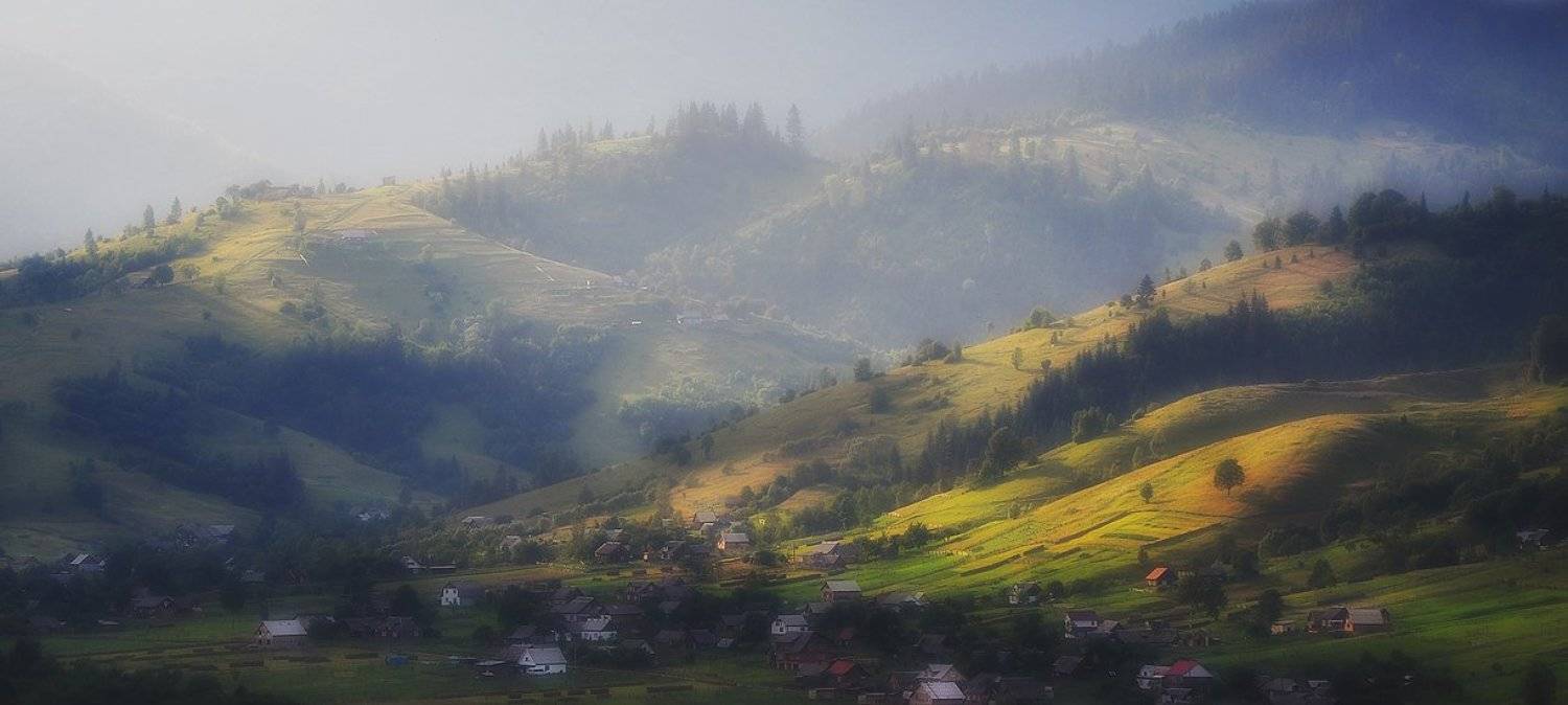 , Денис Кривой