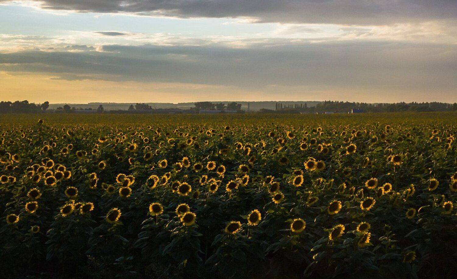 , Сергей Полукаров