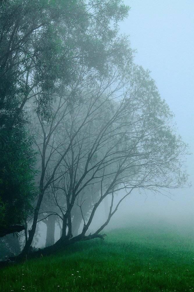 , Николай Морский